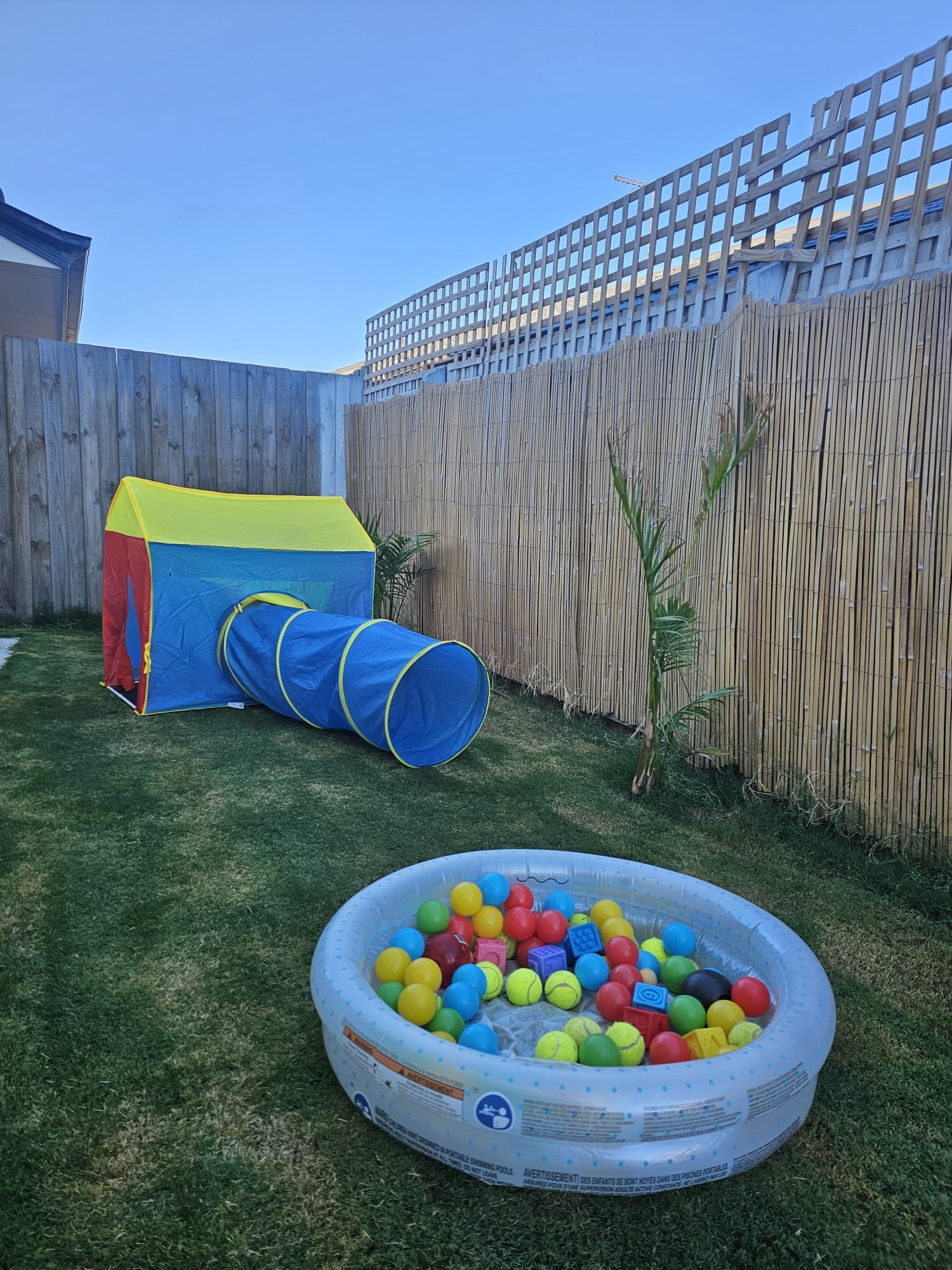 WhatsApp Image 2025-03-08 at 12.25.04 PM (1)