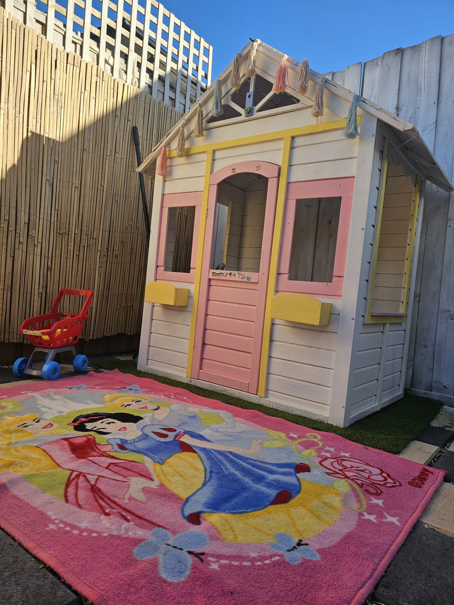 WhatsApp Image 2025-03-08 at 12.25.06 PM